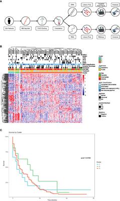 The transcriptomic landscape of elderly acute myeloid leukemia identifies B7H3 and BANP as a favorable signature in high-risk patients